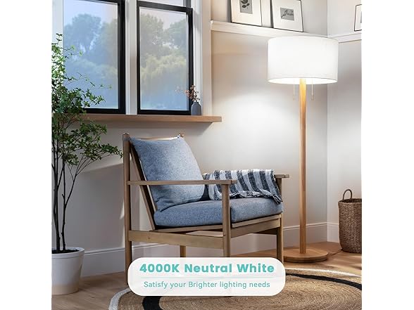 Brightever Edison Bulbs 60W Equivalent, Cool White