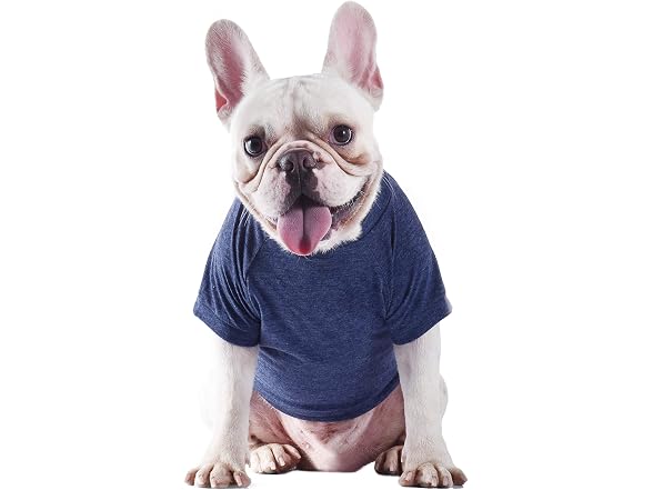 Star Wars for Pets Yoda Wisdom Dog Tee - Gallery 4