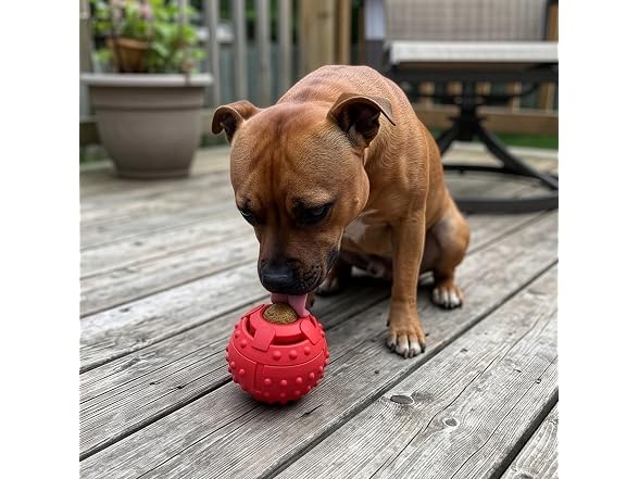 SPOT Seek-A-Treat Double Puzzle Ball Dog Toy