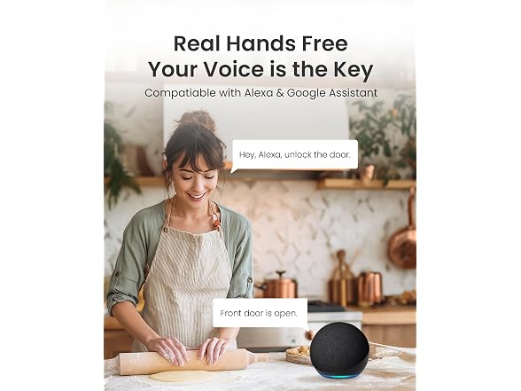 DESLOC D110 Plus Smart Lock w/Handle Set