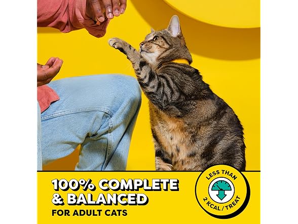 Temptations Classic Crunchy and Soft Cat Treats