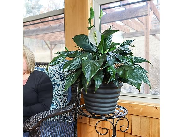 Sunnydaze Molly 12.5" Metal Outdoor Plant Pot Set