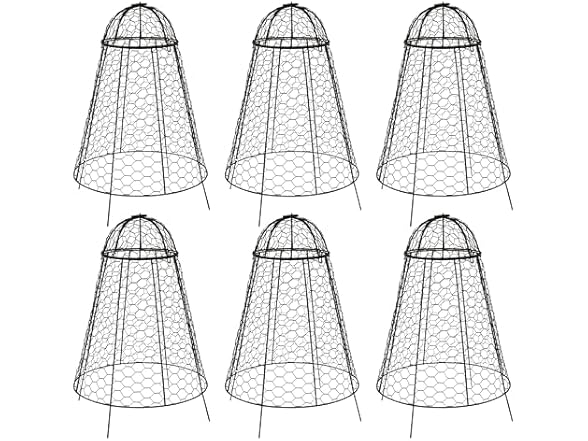 Sunnydaze Decor HB-0526 Plant Protector–6pk Black