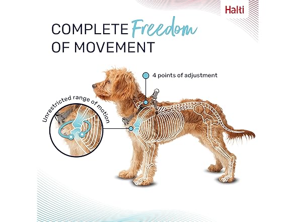 HALTI Anatomy Puppy Harness - Provides Y