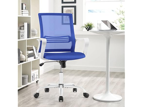 OLIXIS Ergonomic Home Office Chair - Rol