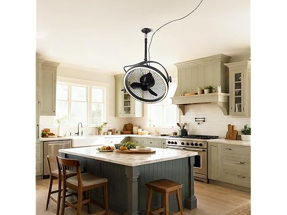 Ceiling Fans with Lights and Remote, 20 Inch Black