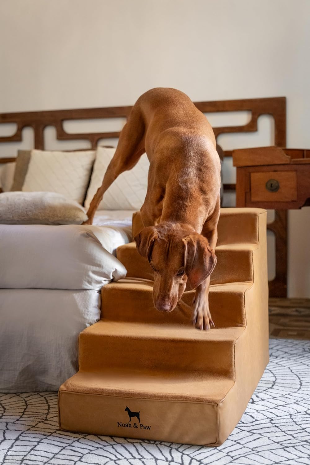 Noah & Paw Dog Stairs - Gallery 19