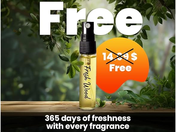  Car Fragrance 365 Days Wood Air Fresh