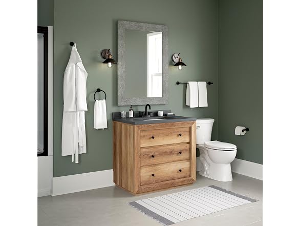 Peerless  Precept Toilet Paper Holder