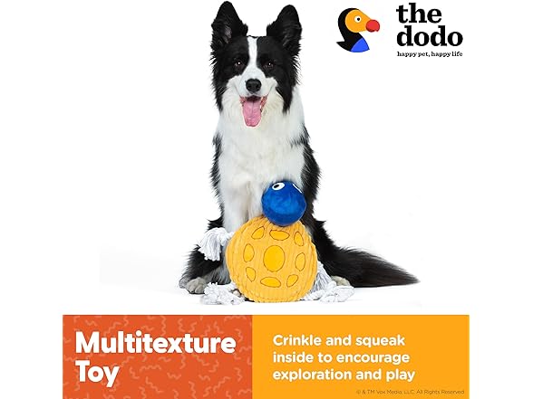 The Dodo Turtle Multitexture Toy with Ropes