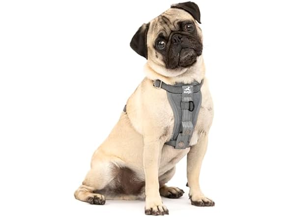 Kurgo Tru-Fit Dog Car Harness- Charcoal S