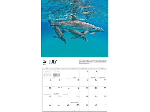 Carousel Calendars, Dolphins WWF 2026 W