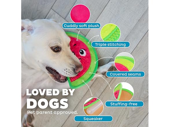 Outward Hound Tough Skinz Durable Squeaky Dog