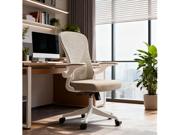 Ergonomic Office Desk Chair High Back