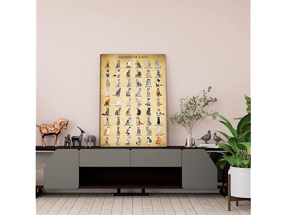 BASYEEO Cat Breeds Poster