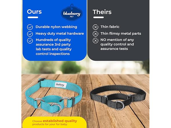 Blueberry Pet Essentials Martingale Safety Collar