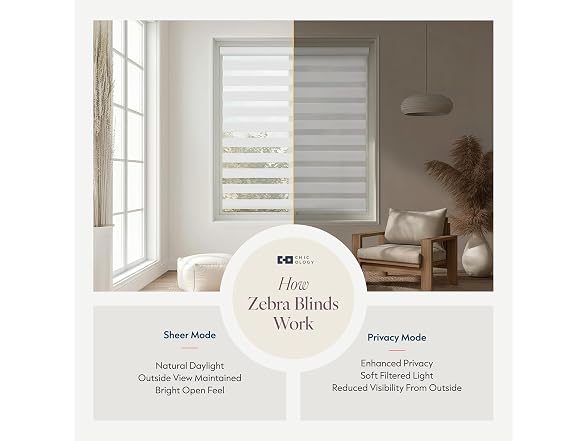 CHICOLOGY Zebra Blinds Cordless Window Shades 58"W x 72"H