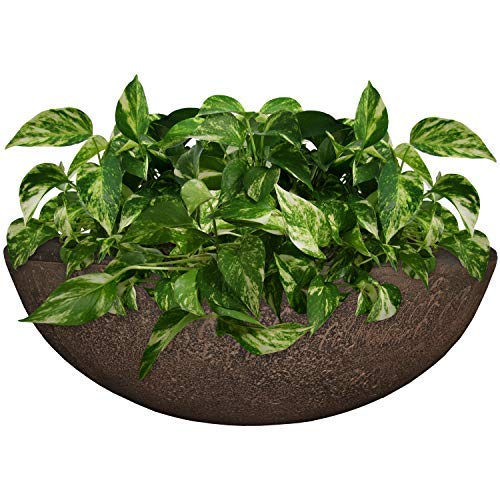 Sunnydaze Percival 20.75" Shallow Outdoor Planter Bowl - Gallery 14