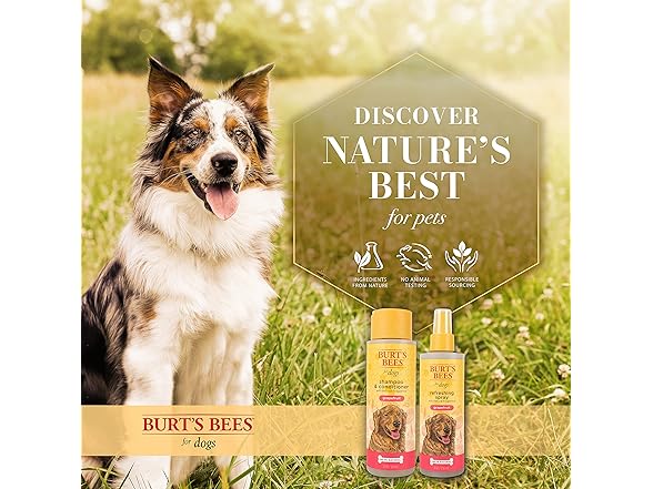 Burt's Bees Dogs Refresh Natural Deodorizer (6 PACK)