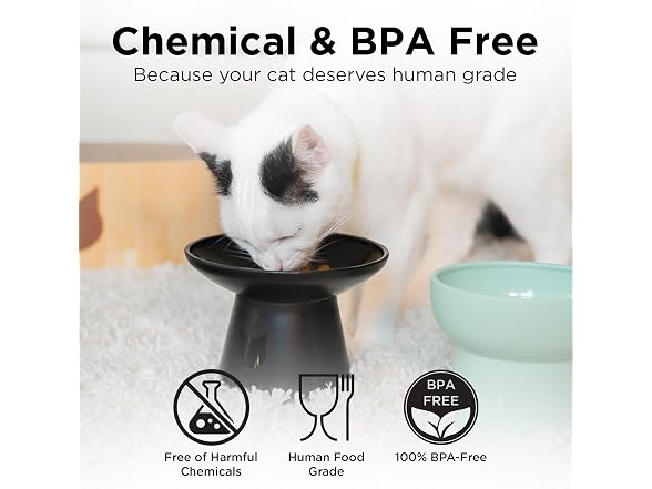 Necoichi 2pcs Elevated Cat Water Bowls, Food