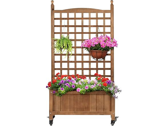 Idzo Raised Garden Bed with Trellis