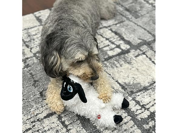 SPOT Baa Baa Black Sheep Plush Dog Toy