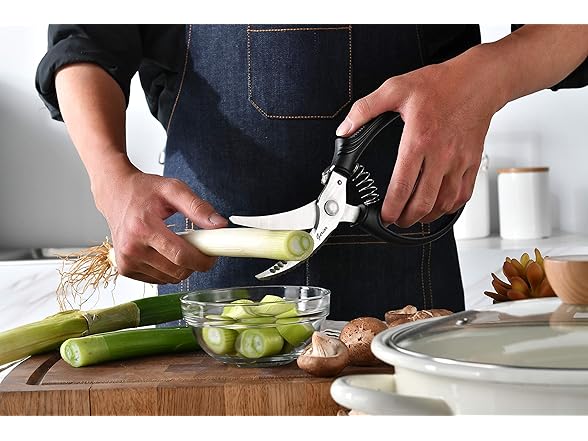 Gerior  Poultry Shears Set - Heavy Duty