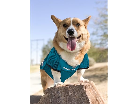 Philadelphia Eagles Mesh Dog Jersey