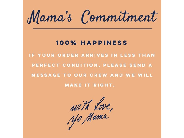 (6 Pack) Yo Mama's Roasted Garlic