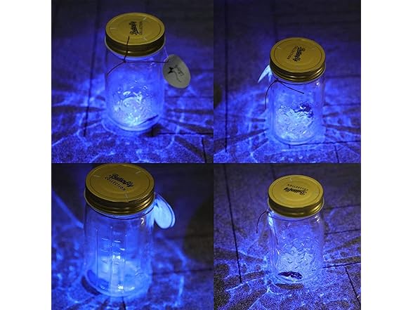 Animated Butterfly Jar That Moves