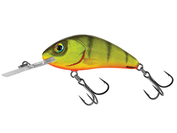 SALMO QRH147 Rattlin Hornet 045 Hot Perch
