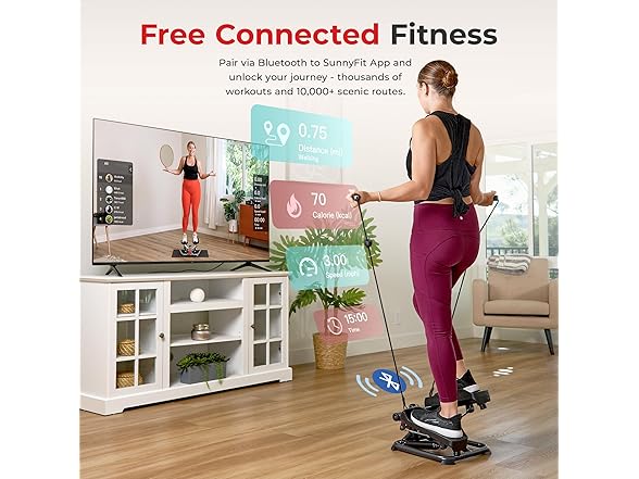 Sunny Health & Fitness Total Body 2-in-1 Stepper