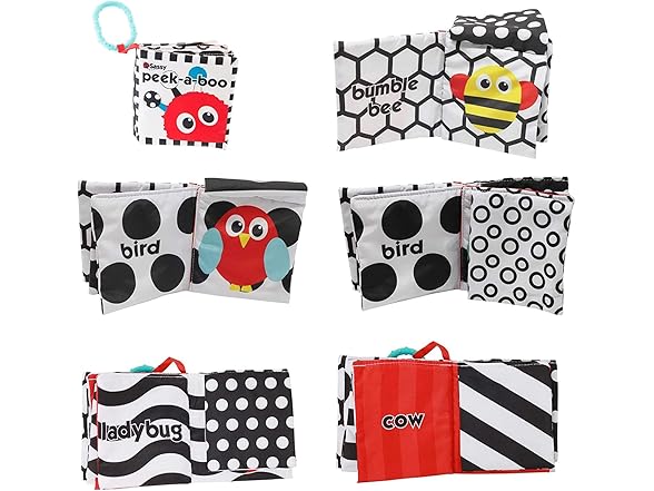 Sassy Peek-a-Boo Activity On-the-Go Book