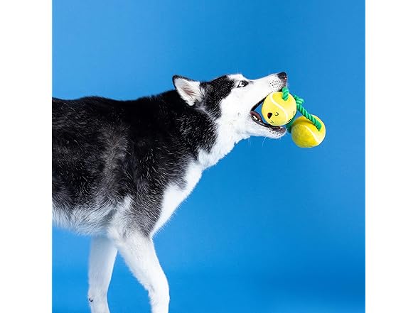 Fringe Studio Plush Dog Toy with Rope