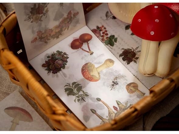 Gracilaria Vintage Plant Stickers Book