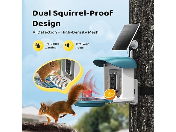 Loatos Bird Feeder with Camera