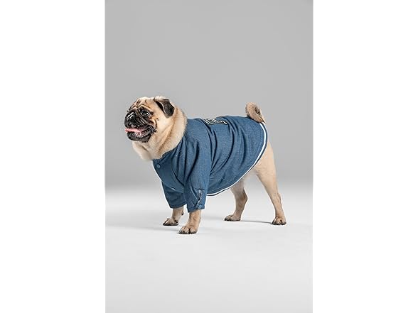 Pooch Mode Reversible Varsity Jacket