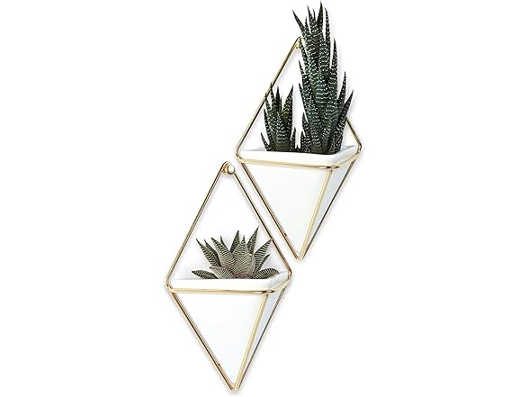Umbra Trigg Hanging Planter Wall Decor