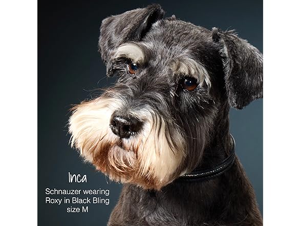 Roxy - The Crystal Bling Collar, Black Bling