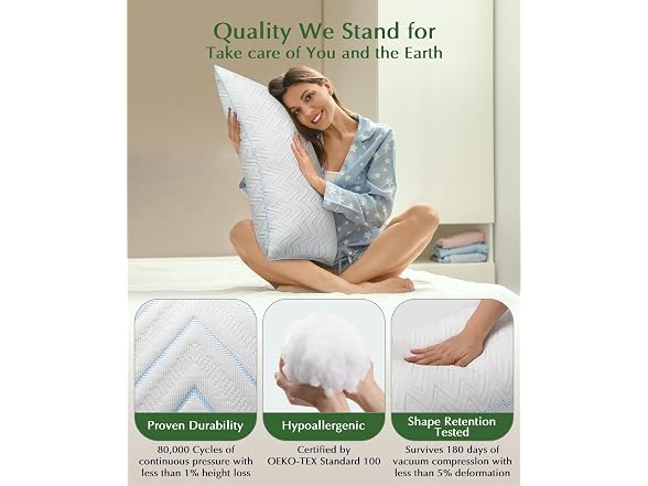 DIORIS Cooling Pillows Queen Set of 2