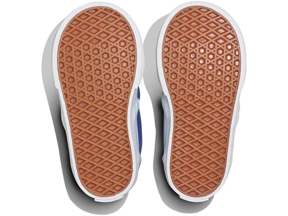 Vans Atwood Embroidery True Shoe