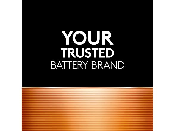 Duracell Coppertop AAA Batteries, 16
