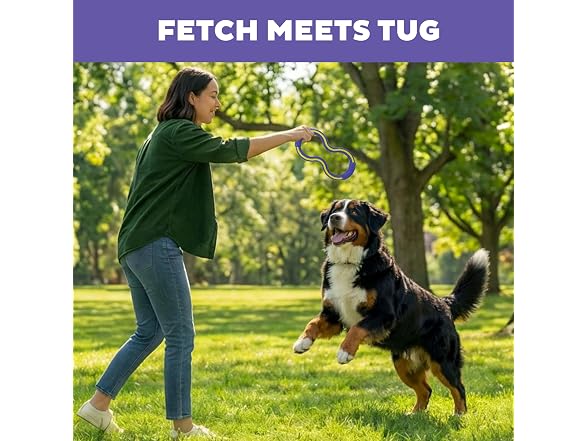 Outward Hound FlyFetch Tug Dog Toy, Durable Rubber
