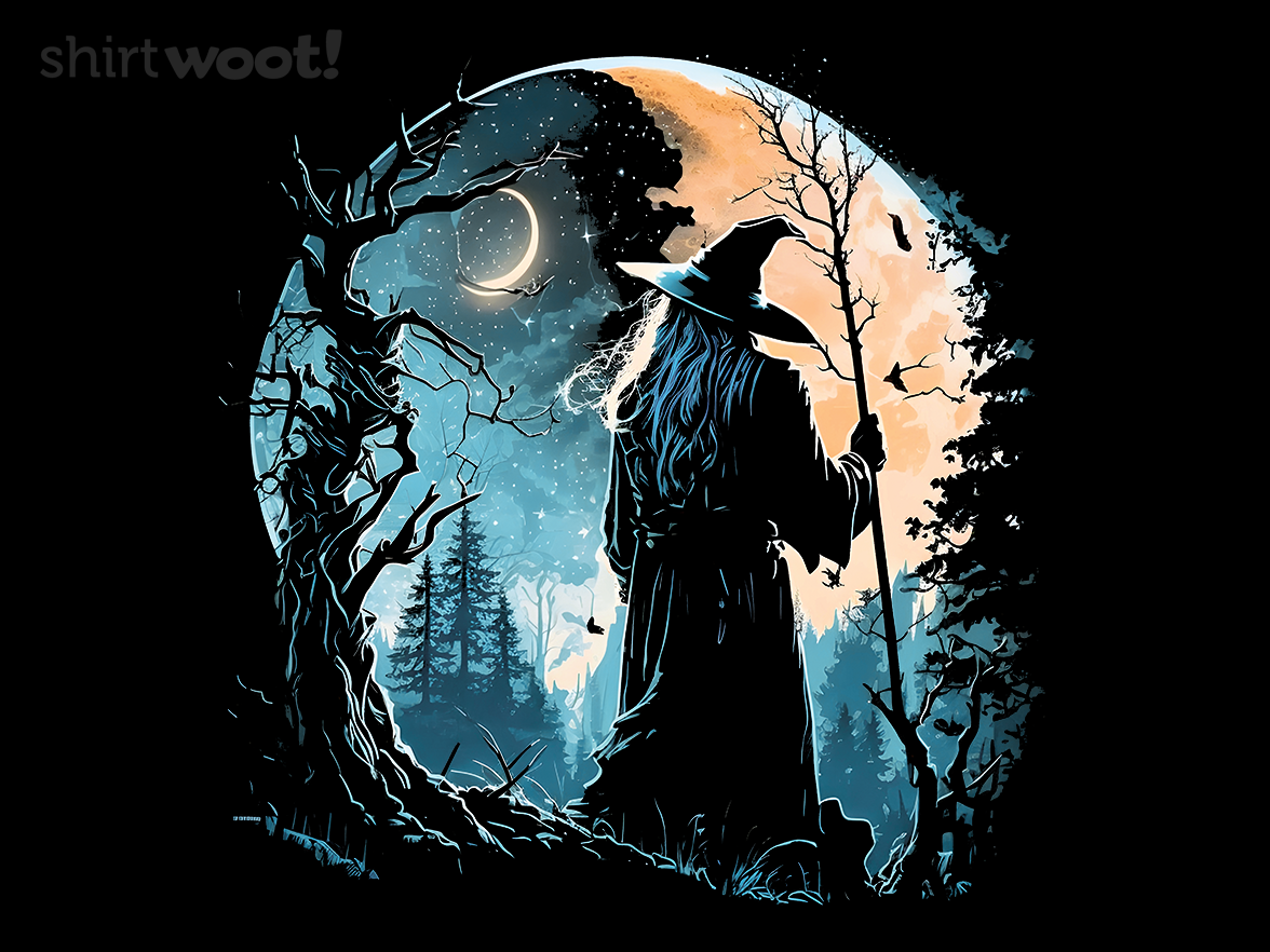 The Travelling Wizard - Gallery 4