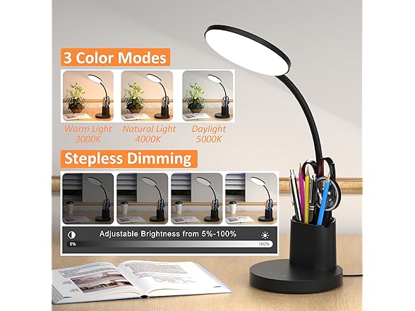 Vicsoon Desk Lamp
