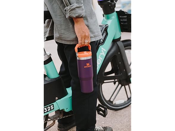 Stanley IceFlow 2.0 Flip Straw Tumbler, 20oz, Soft Orchid