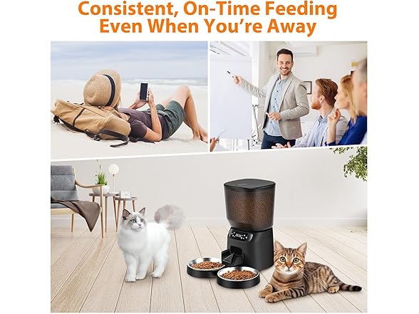 Katalic Automatic Pet Feeder