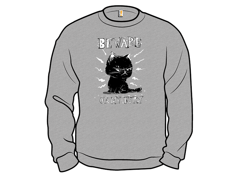 Beware of My Fury