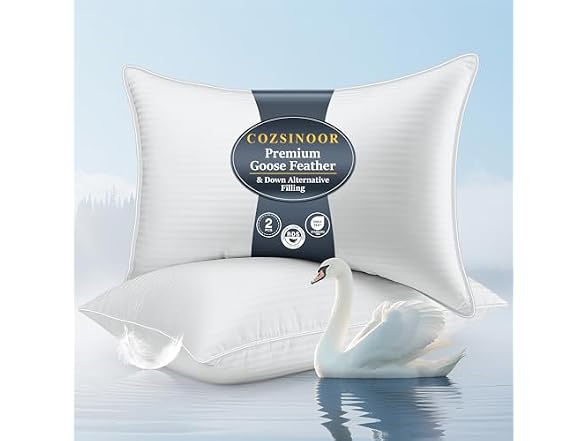 COZSINOOR Goose Down Feather Pillows