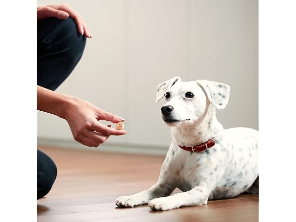Milk-Bone MaroSnacks Dog Treats, 38 Ounce Refill